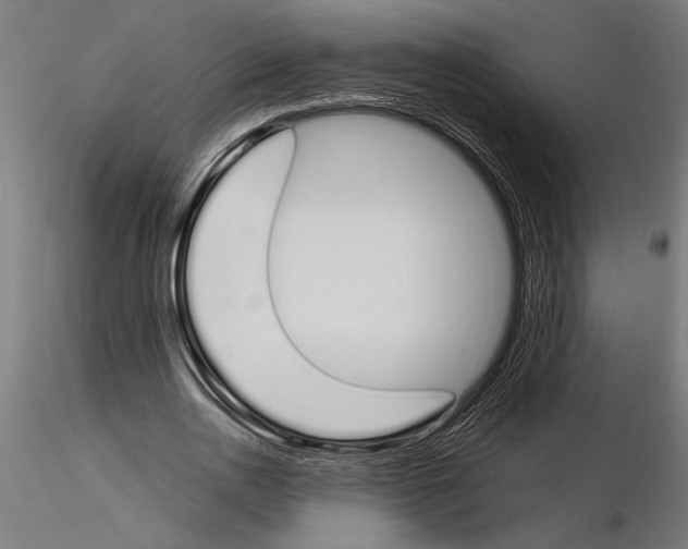 X0000115260726200912111139