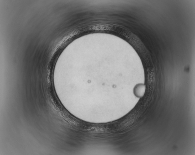 X0000115260727200912111139