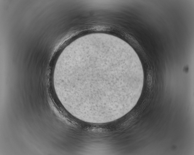 X0000115260730200912111139