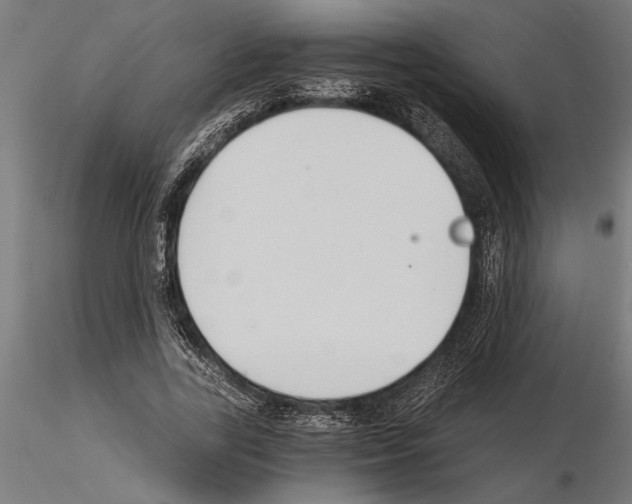 X0000115260731200912111139