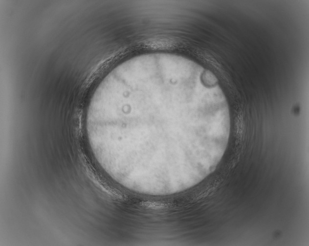 X0000115260733200912111139