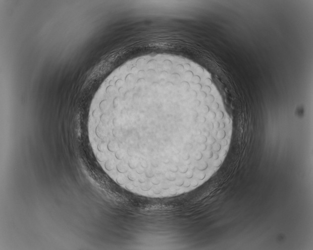 X0000115260734200912111139