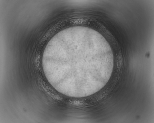 X0000115260737200912111140