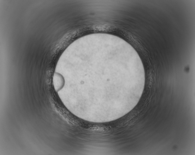 X0000115260738200912111140