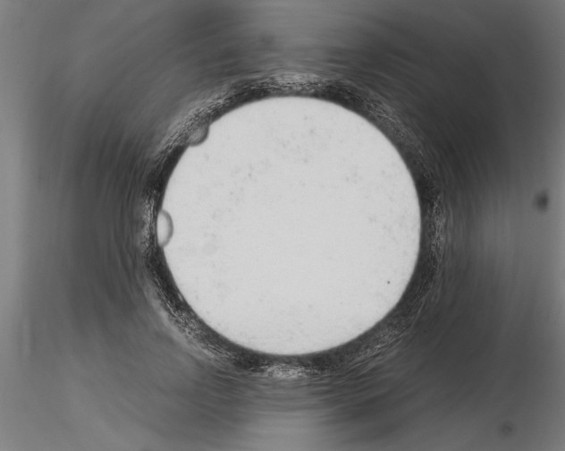 X0000115260742200912111140