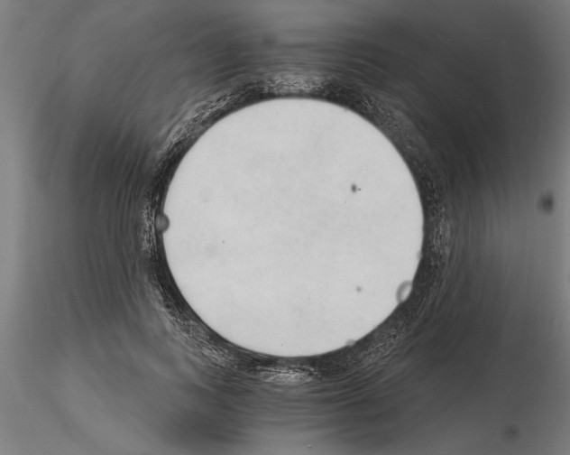 X0000115260743200912111140