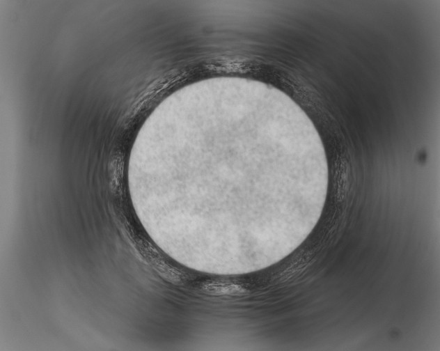 X0000115260747200912111140