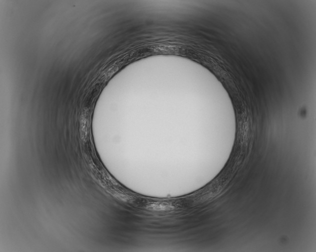 X0000115260749200912111140