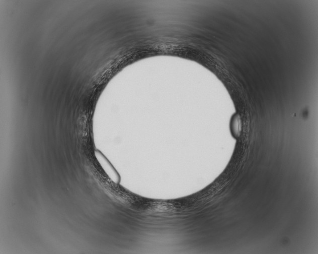 X0000115260750200912111140