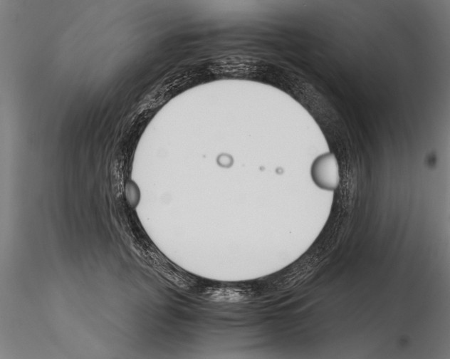 X0000115260751200912111140