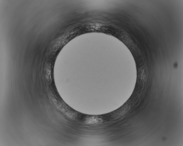 X0000115260754200912111140