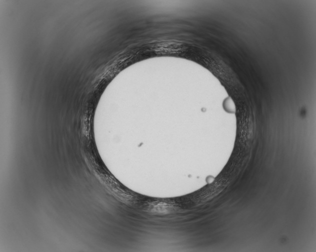 X0000115260755200912111140