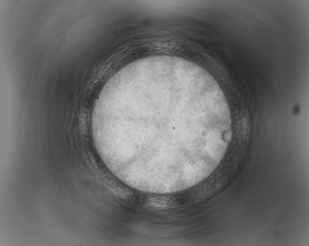 X0000115260757200912111140