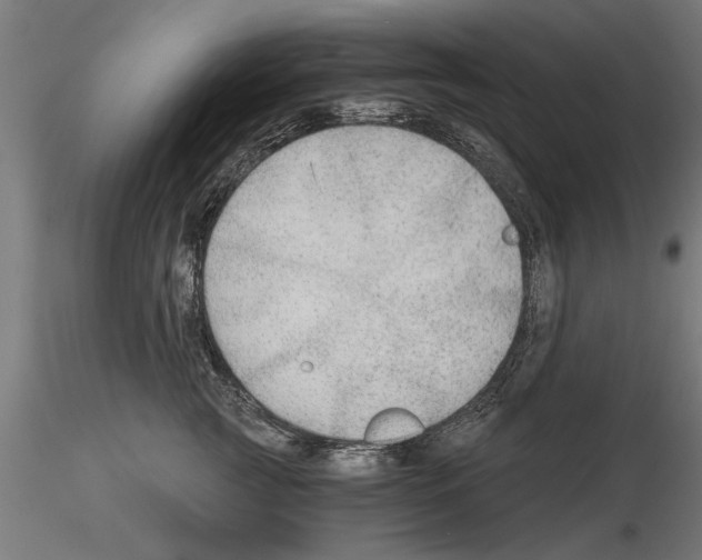 X0000115260761200912111140