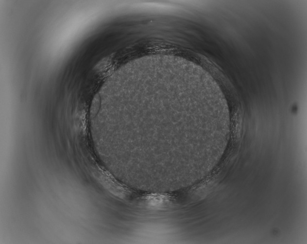 X0000115260762200912111140