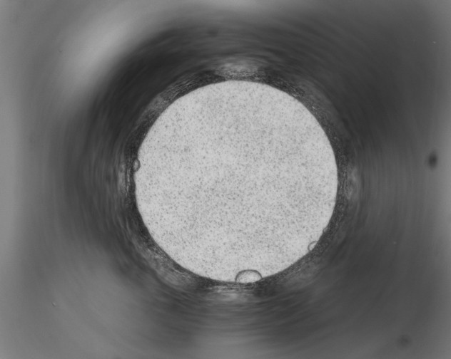 X0000115260763200912111140