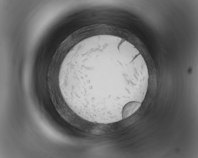 X0000115260765200912111140