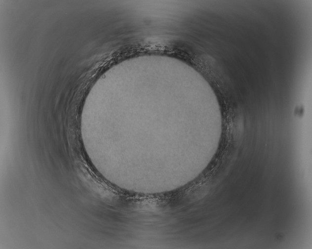 X0000115260769200912111139