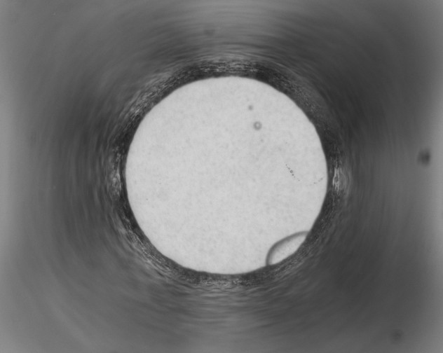 X0000115260771200912111139