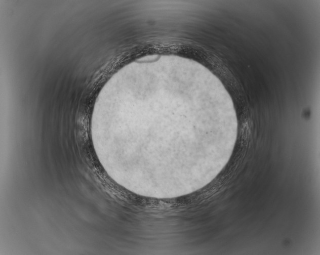 X0000115260772200912111139