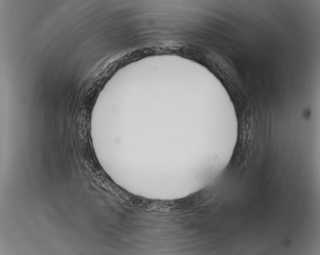 X0000115260773200912111139