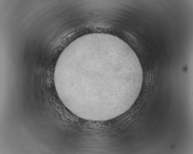 X0000115260774200912111139