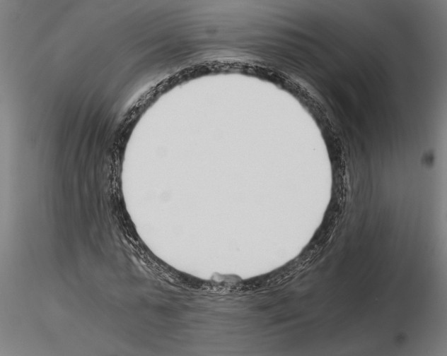 X0000115260775200912111139