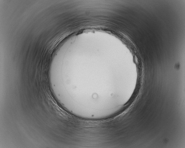 X0000115260777200912111139