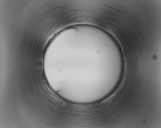 X0000115260781200912111139