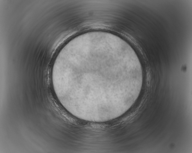 X0000115260782200912111139