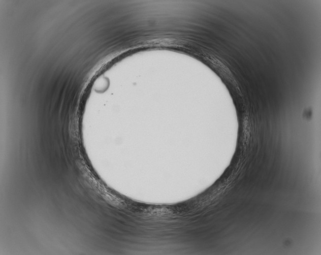 X0000115260784200912111139