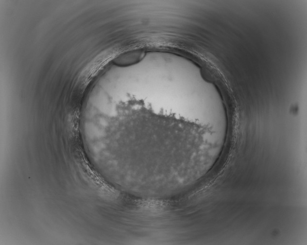 X0000115260785200912111139