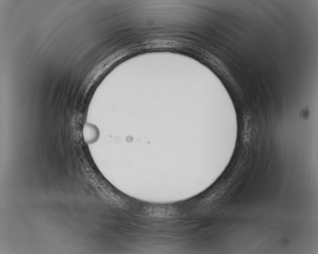 X0000115260786200912111139