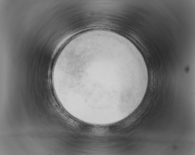 X0000115260788200912111139