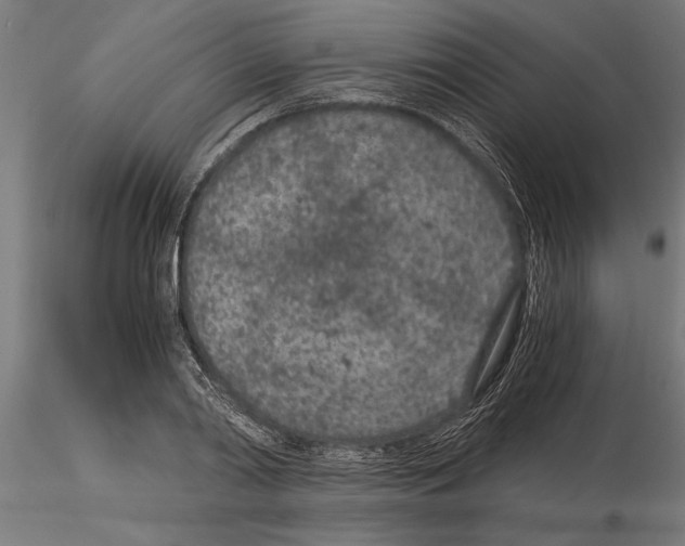 X0000115260790200912111139