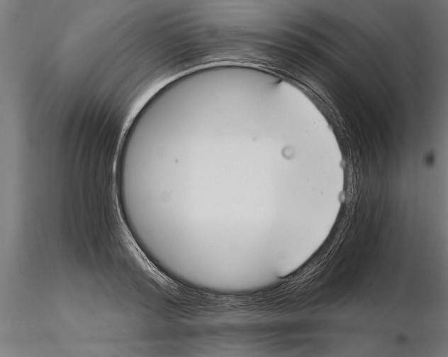 X0000115260796200912111139