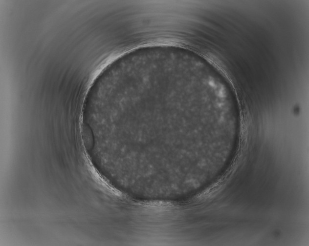 X0000115260797200912111139