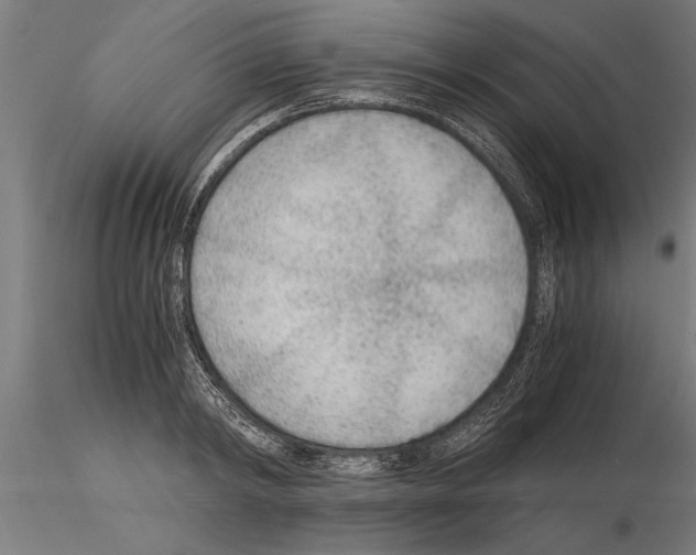 X0000115260798200912111139