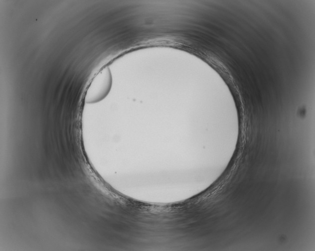 X0000115260800200912111139