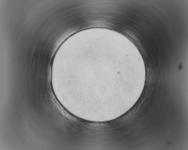 X0000115260804200912111139