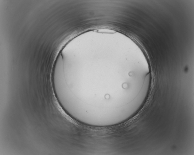 X0000115260805200912111139