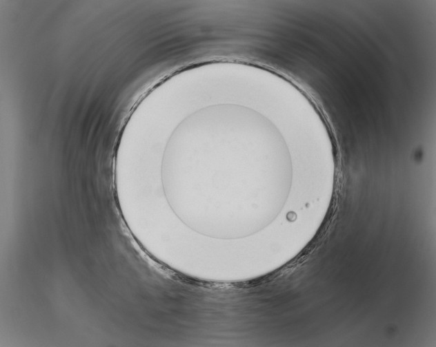 X0000115260807200912111139