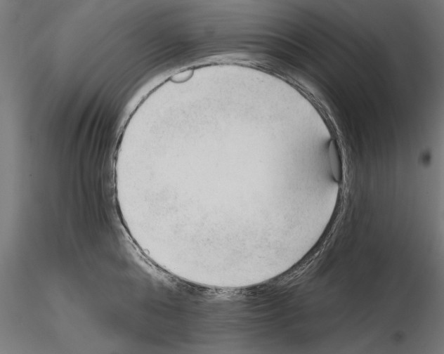 X0000115260808200912111139