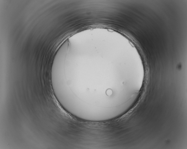 X0000115260809200912111139