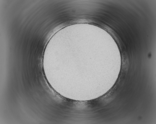 X0000115260810200912111139