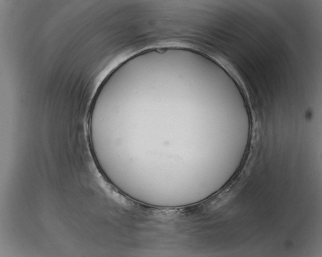 X0000115260813200912111139