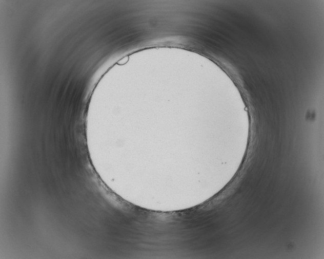 X0000115260816200912111139