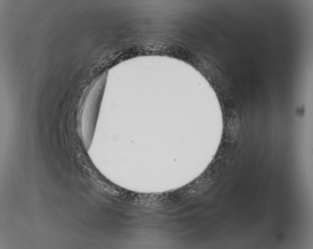 X0000115260817200912111138