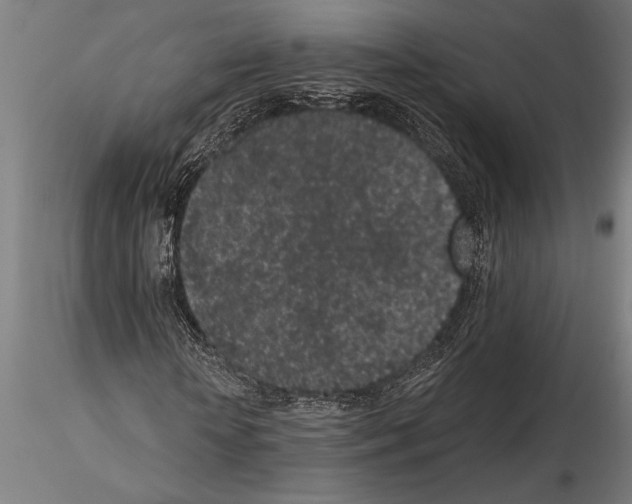 X0000115260818200912111138