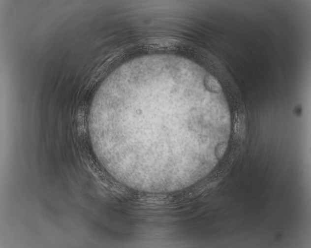 X0000115260819200912111138